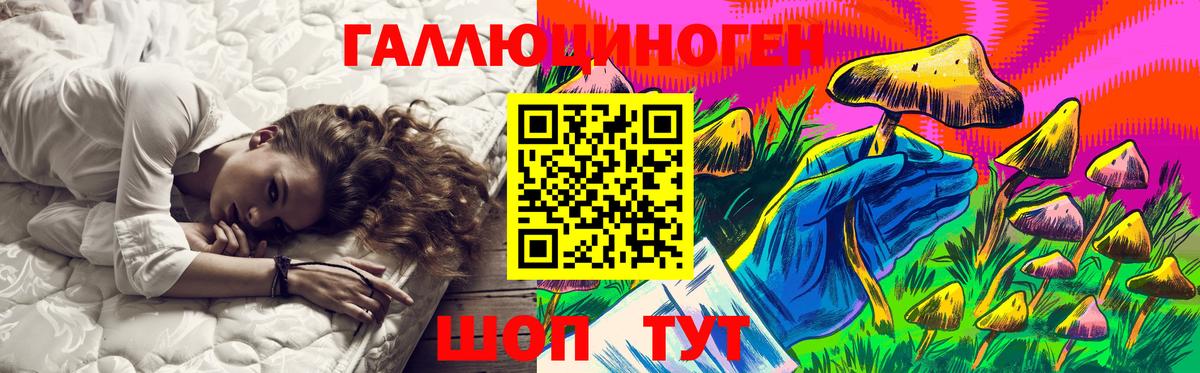 Псилоцибиновые грибы Psilocybe Вичуга