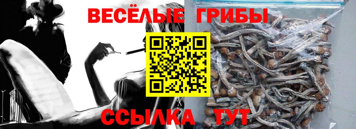 Вичуга  Каннабис  КОКАИН  Мефедрон кристаллы  ГАШ  МЕТАМФЕТАМИН 