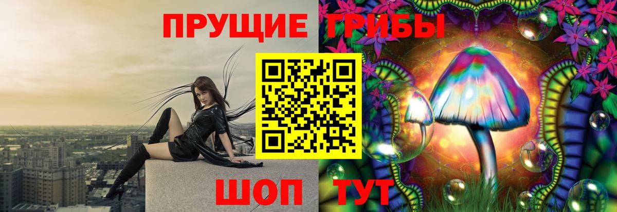 Галлюциногенные грибы прущие грибы  Псилоцибиновые грибы GOLDEN TEACHER  Вичуга  Вход с VPN 