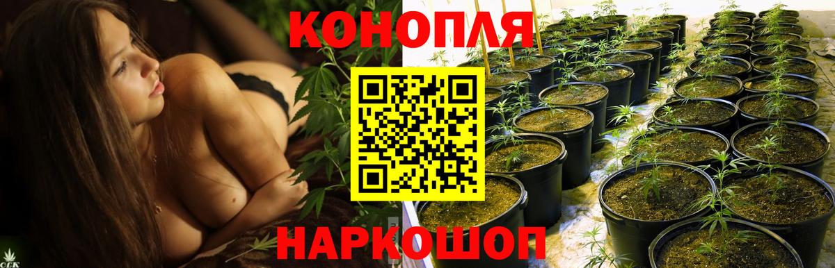 Бошки Шишки тримм  Вход с VPN  Каннабис план  Вичуга 